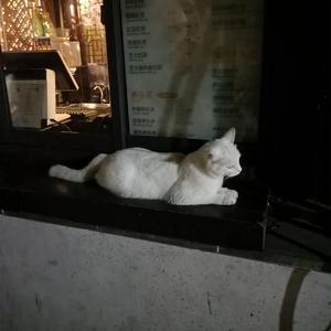 香蕉文化官方正版官网入口
